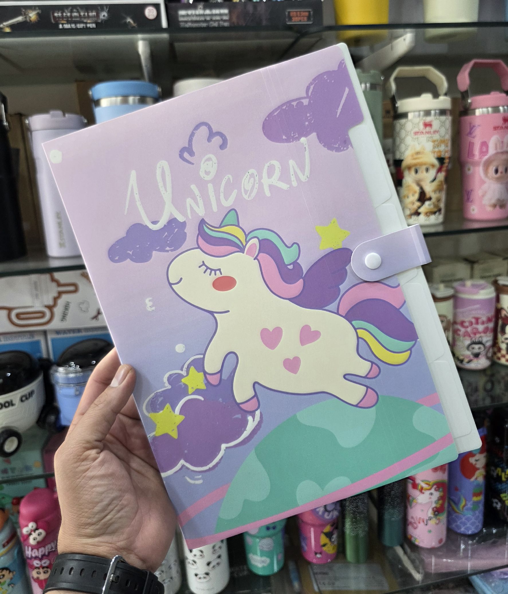A4 Size Folders